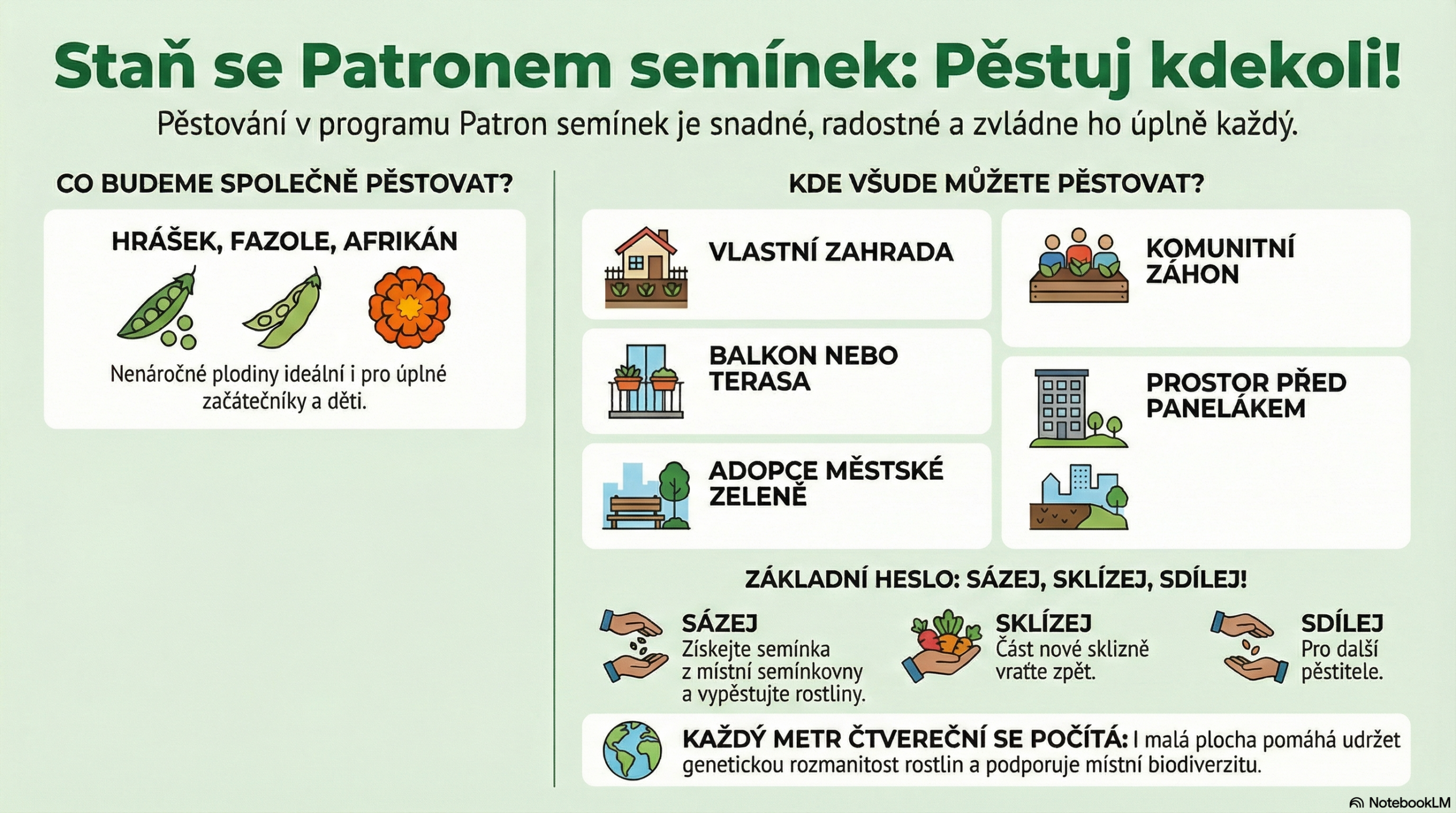 Infografika Patron semínek – jak to funguje